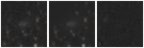 Missing file VFID4458-custom-montage-W1W2.png