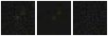 Missing file VFID4500-custom-montage-FUVNUV.png