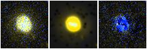 Missing file NGC3442-custom-montage-FUVNUV.png
