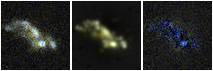 Missing file PGC135768-custom-montage-FUVNUV.png