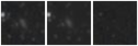 Missing file PGC2036114-custom-montage-W1W2.png