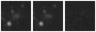 Missing file PGC2671709-custom-montage-W1W2.png