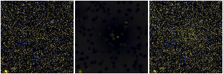 Missing file PGC2806989-custom-montage-FUVNUV.png