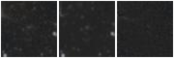 Missing file PGC2806989-custom-montage-W1W2.png
