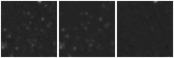 Missing file PGC5065937-custom-montage-W1W2.png