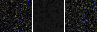 Missing file SDSSJ105204.79+150149.6-custom-montage-FUVNUV.png