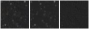 Missing file SDSSJ105234.93+170841.8-custom-montage-W1W2.png