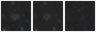 Missing file SDSSJ105356.28+600242.9-custom-montage-W1W2.png