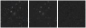 Missing file SDSSJ105400.01+094952.3-custom-montage-W1W2.png