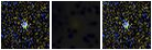 Missing file SDSSJ105441.75+280731.0-custom-montage-FUVNUV.png