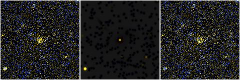 Missing file UGC05955-custom-montage-FUVNUV.png