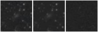 Missing file UGC06005-custom-montage-W1W2.png