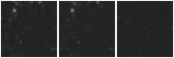 Missing file AGC208569-custom-montage-W1W2.png