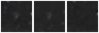 Missing file PGC2622648-custom-montage-W1W2.png