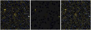 Missing file SDSSJ105741.23+191321.1-custom-montage-FUVNUV.png