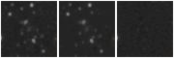 Missing file AGC215235-custom-montage-W1W2.png