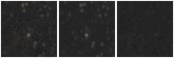 Missing file AGC215253-custom-montage-W1W2.png