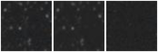 Missing file AGC219369-custom-montage-W1W2.png