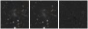 Missing file PGC033130-custom-montage-W1W2.png