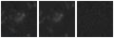 Missing file PGC033184-custom-montage-W1W2.png