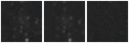 Missing file PGC126723-custom-montage-W1W2.png