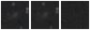 Missing file PGC2832078-custom-montage-W1W2.png