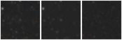 Missing file SDSSJ110324.72+634023.4-custom-montage-W1W2.png