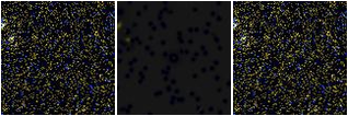 Missing file VFID2351-custom-montage-FUVNUV.png