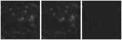 Missing file AGC215262-custom-montage-W1W2.png