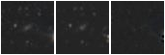 Missing file PGC033634-custom-montage-W1W2.png