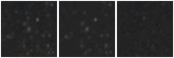 Missing file PGC1631631-custom-montage-W1W2.png
