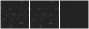 Missing file SDSSJ110651.09+173002.8-custom-montage-W1W2.png