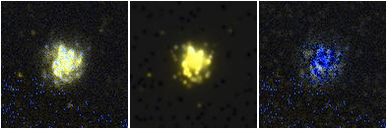 Missing file UGC06181-custom-montage-FUVNUV.png