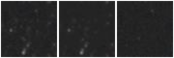 Missing file AGC219447-custom-montage-W1W2.png