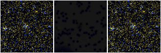 Missing file AGC219721-custom-montage-FUVNUV.png