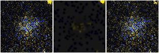 Missing file UGC06222-custom-montage-FUVNUV.png