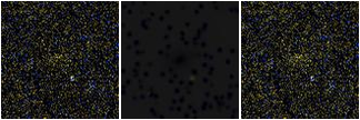 Missing file PGC086628-custom-montage-FUVNUV.png