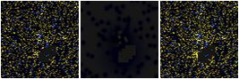Missing file PGC087172-custom-montage-FUVNUV.png