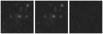 Missing file PGC087172-custom-montage-W1W2.png