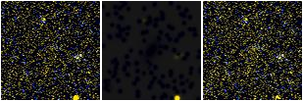 Missing file PGC087259-custom-montage-FUVNUV.png