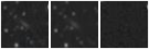 Missing file PGC1219195-custom-montage-W1W2.png
