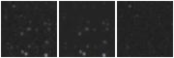 Missing file PGC2275567-custom-montage-W1W2.png