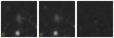Missing file PGC2275942-custom-montage-W1W2.png