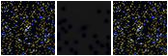 Missing file PGC2316668-custom-montage-FUVNUV.png