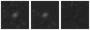 Missing file PGC2316668-custom-montage-W1W2.png