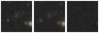 Missing file PGC2446875-custom-montage-W1W2.png
