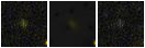Missing file PGC2560815-custom-montage-FUVNUV.png