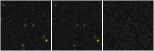 Missing file PGC3289097-custom-montage-FUVNUV.png