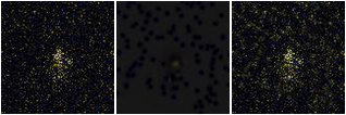 Missing file SDSSJ111342.87+352902.6-custom-montage-FUVNUV.png