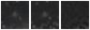 Missing file SDSSJ111445.01+123851.7-custom-montage-W1W2.png